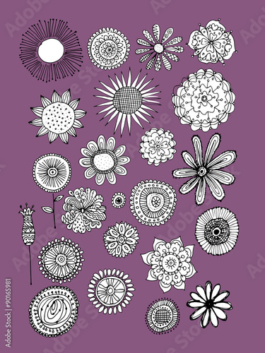 Flowers collection, sketch for your design
