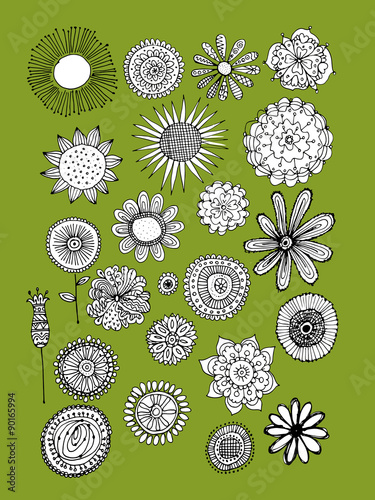 Flowers collection, sketch for your design