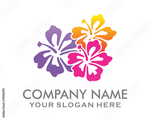 colorful frangipani