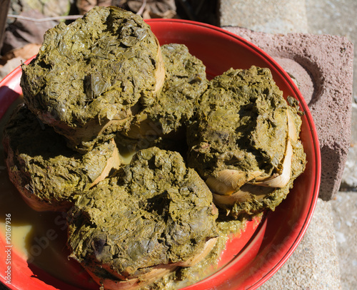 tea-leaves used for masticatory purposes photo