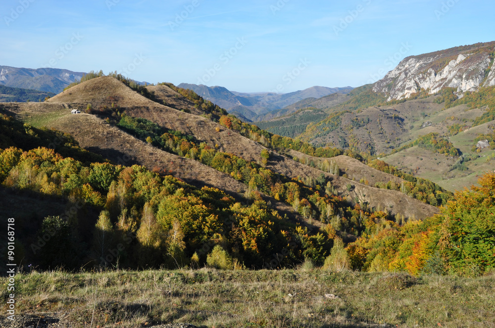Naklejka premium Autumn fall foliage