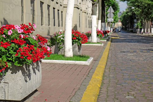 City street with flower beds