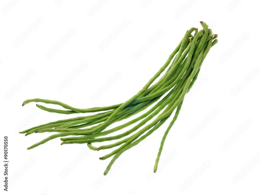 Yard Long bean on white background Yard Long bean on white background