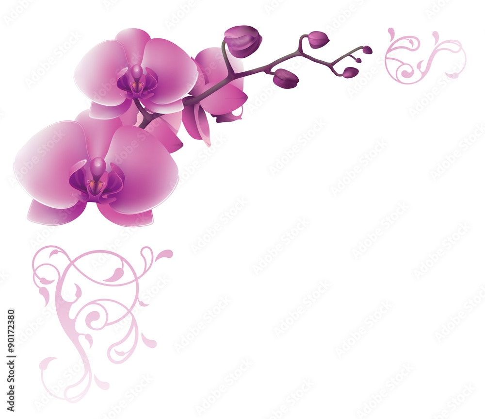 Invitation card with flower Invitation card with flower