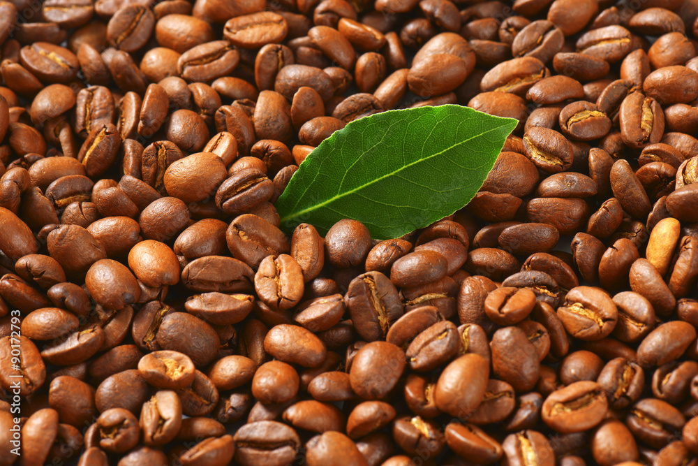 Fototapeta premium Roasted coffee beans