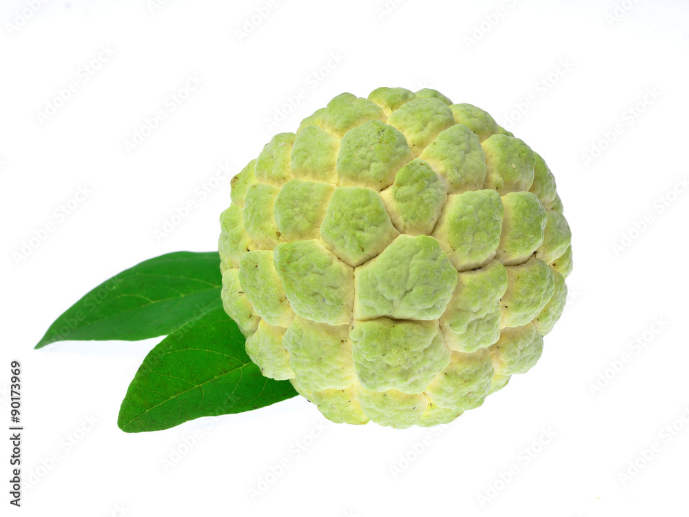 Fresh custard apple isolated on white background Fresh custard apple isolated on white background