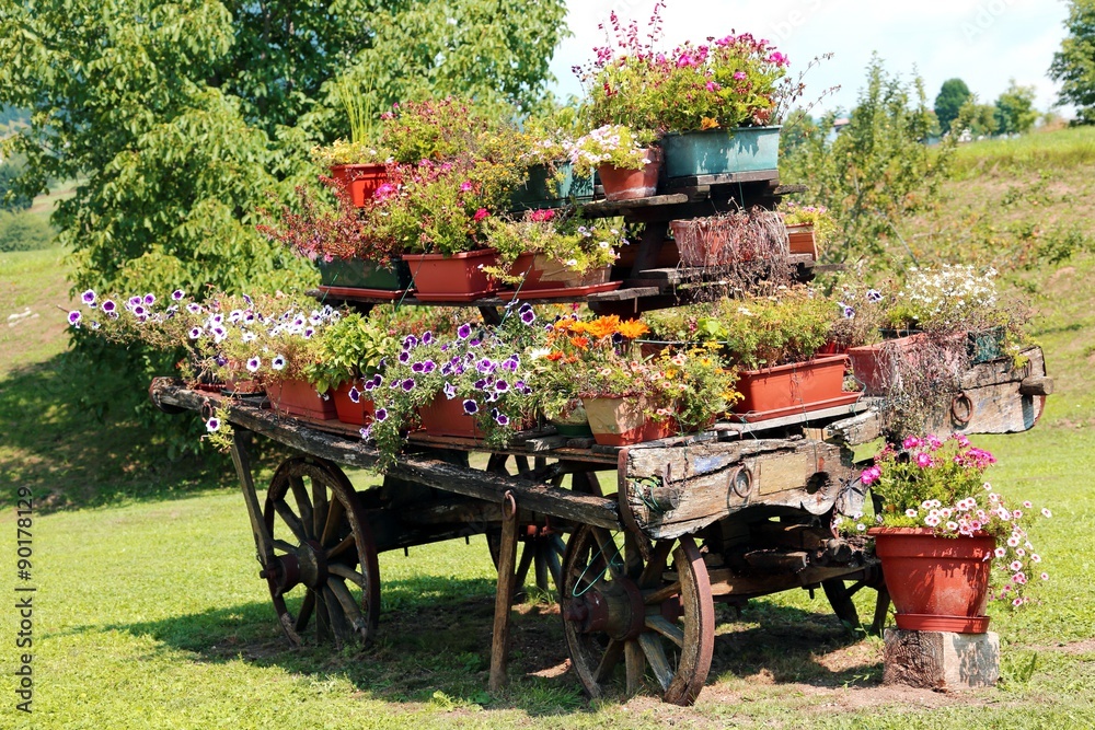 antique ornate wood cart full of blooming flowers in the Meadow