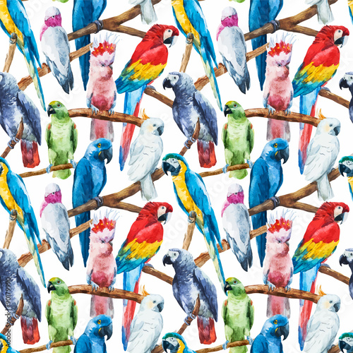 Watercolor parrot pattern