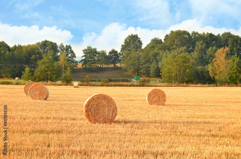 Field after harvest with straw bales at sunset