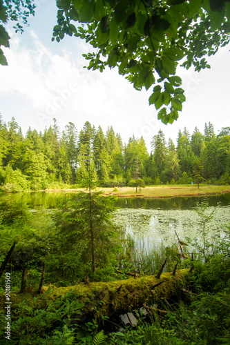Fototapeta Naklejka Na Ścianę i Meble -  Beautiful lake in  mountains