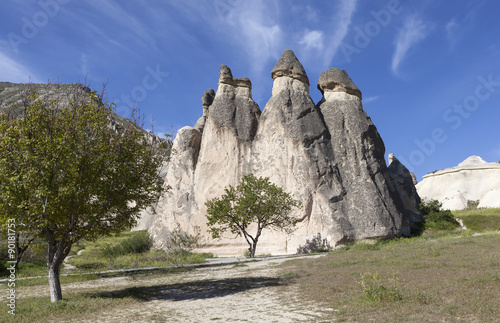 Каппадокия, Турция. Скалы выветривания в долине Монахов (Долина Пашабаг)