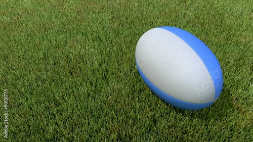 ballon rugby pelouse top C01