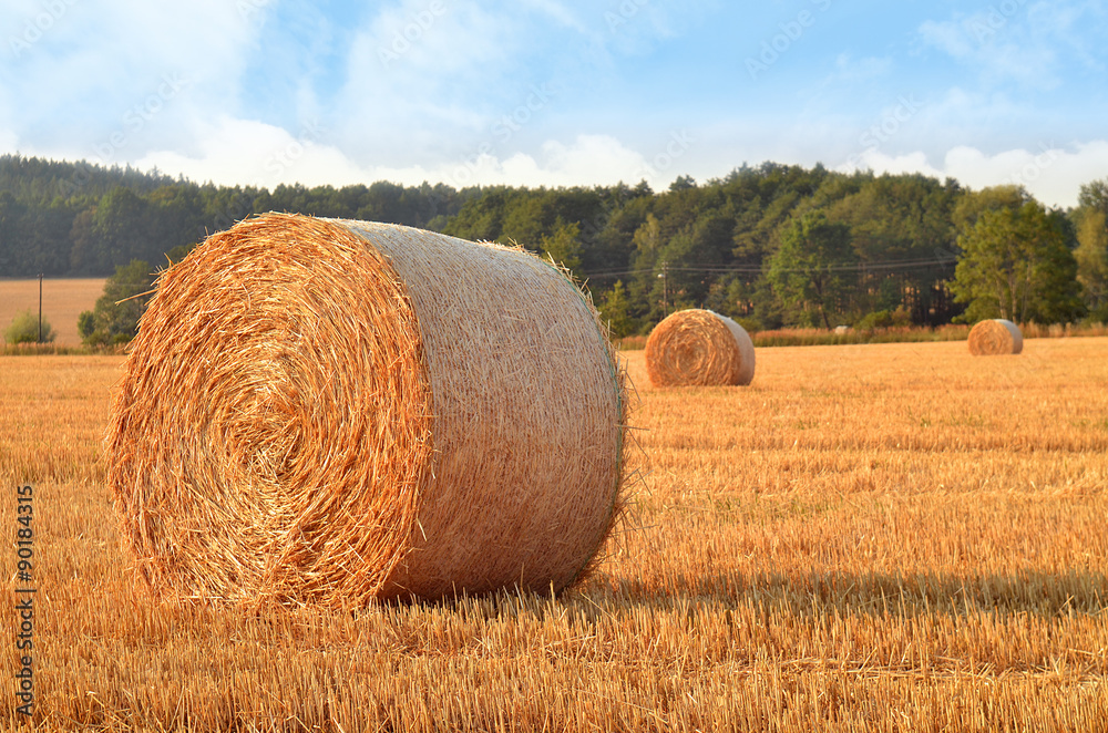 Field after harvest with straw bales at sunset