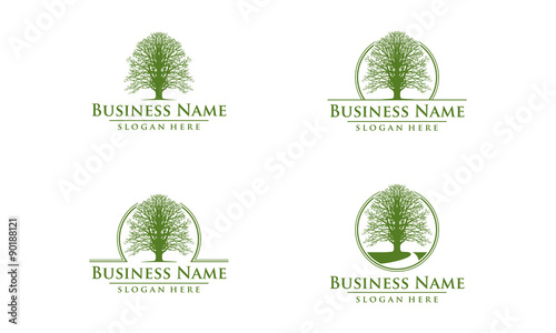 oak, tree, logo