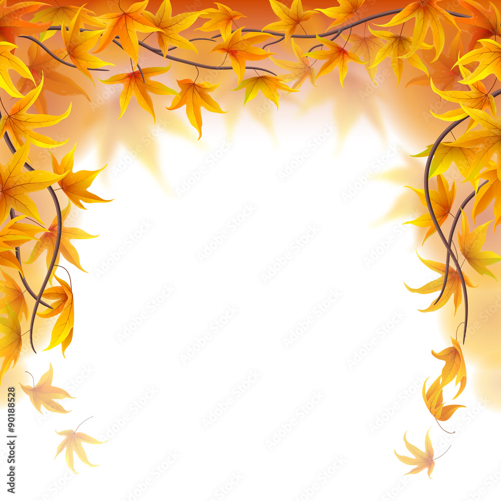 Autumn branches frame with maple leaves on white background Autumn branches frame with maple leaves on white background