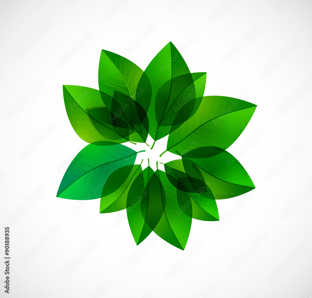 Circle of green leaves isolated on white Circle of green leaves isolated on white