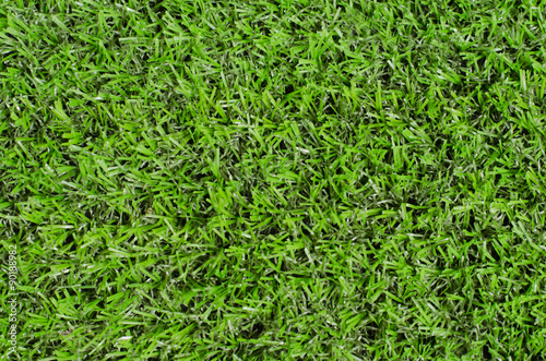 green grass. natural background texture. fresh spring green gras