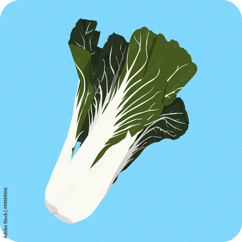 Bok Choy Stock Illustration | Adobe Stock