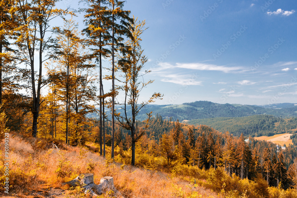 Fototapeta premium Mountain landscape.