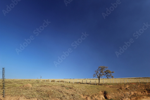 Landscape with blue sky photo