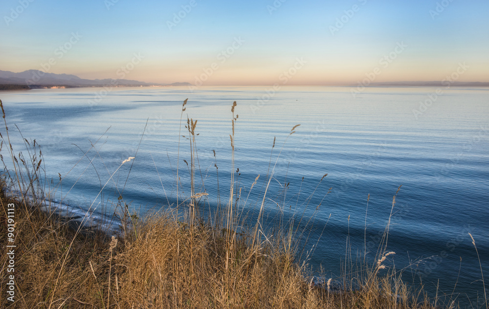 Tranquil Morning by the Sea