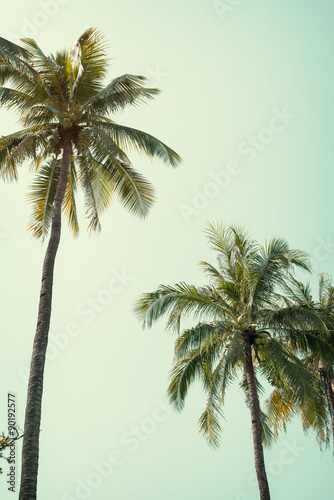 Vintage nature background of coconut palm tree on tropical beach blue sky with sunlight of morning in summer, retro effect filter