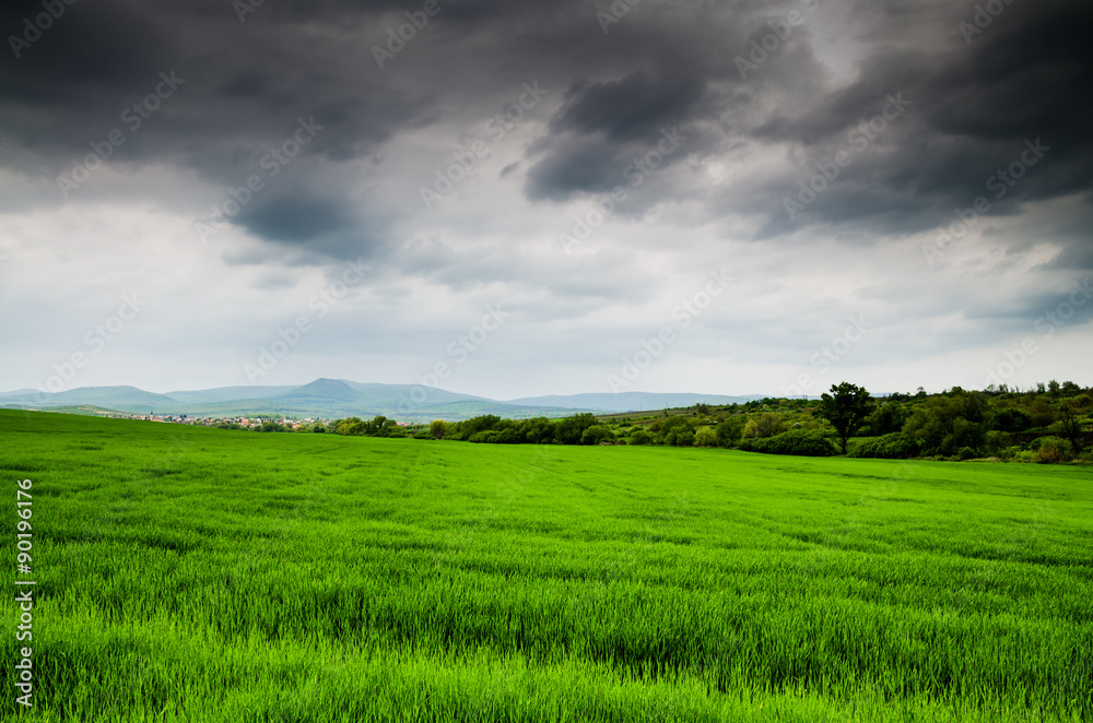 green field and storm