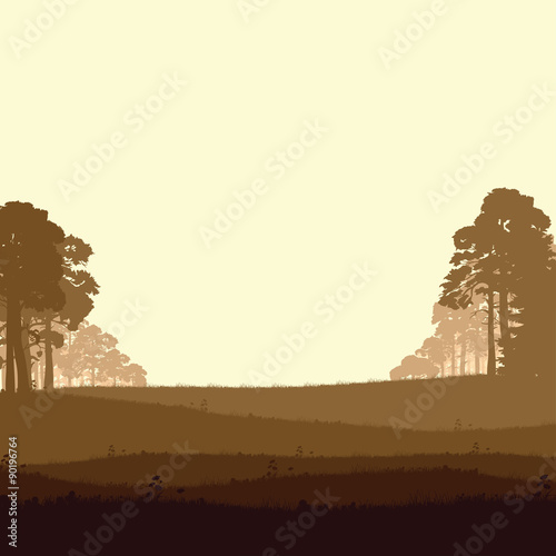 Wild coniferous forest