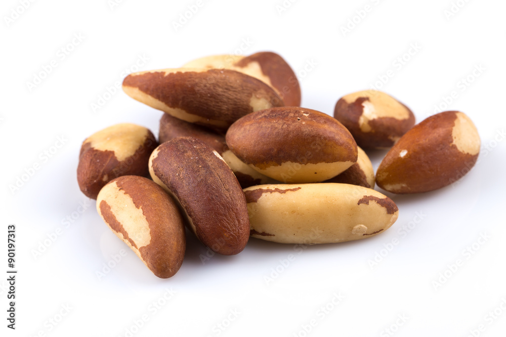 Brazil Nuts Brazil Nuts