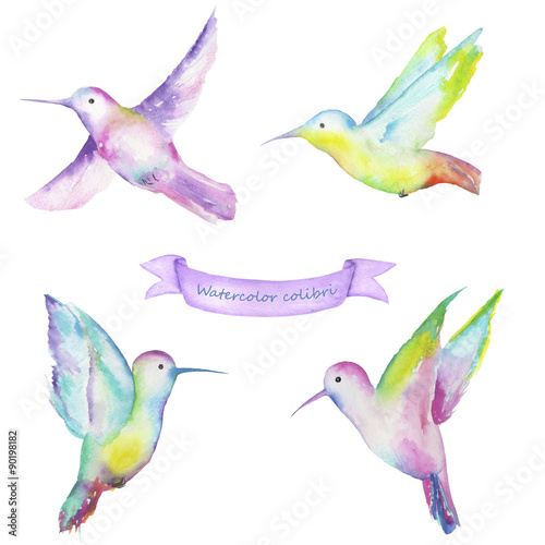 Set with a samples of colibri painted in watercolor on a white background