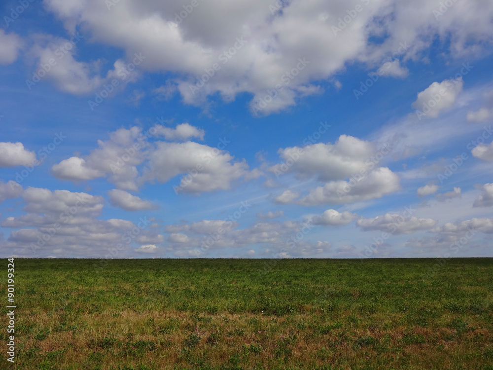 Horizon between the field with plants and blue cloudy sky