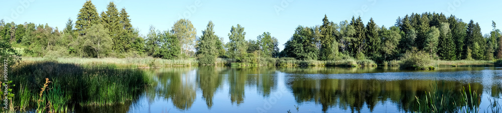 Teich im Sumpfgebiet Panorama