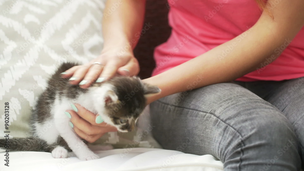 Girl stroke kitty and playing with him
Girl stroke kitty and playing with him