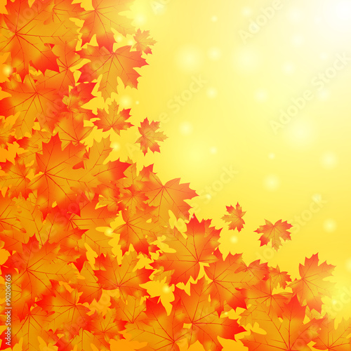 autumn background.golden maple leaves.space for text