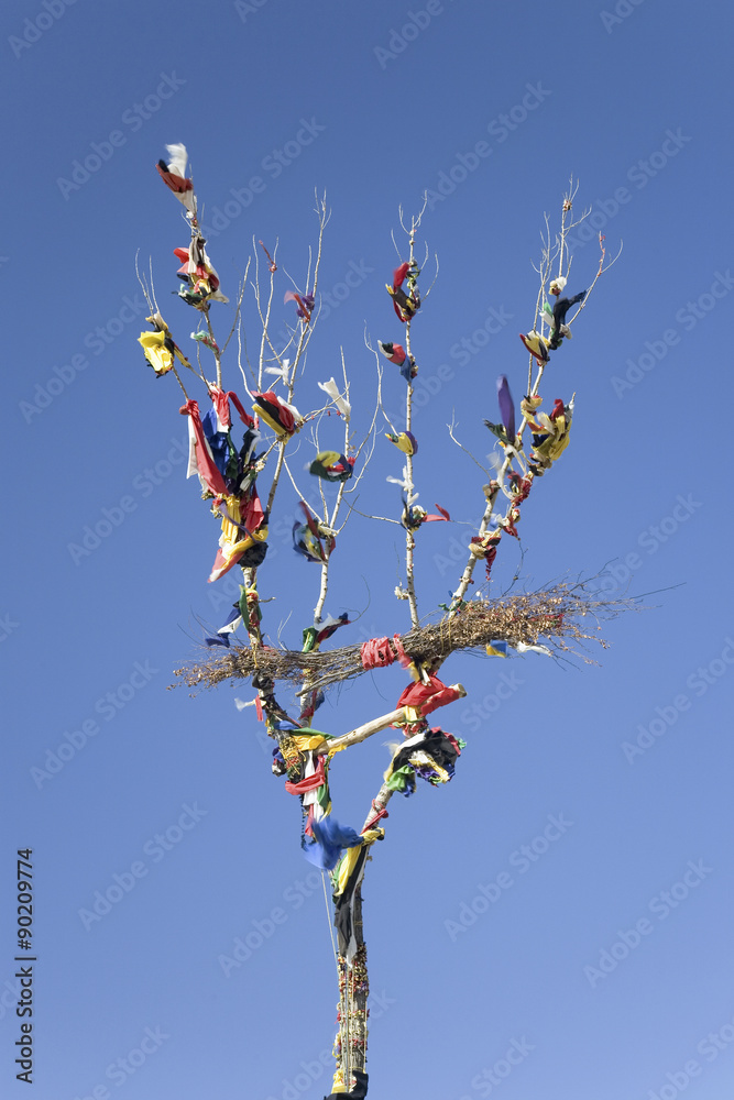 Indian Prayer Tree from Gathering of Grandmas, near Hot Springs, South Dakota Indian Prayer Tree from Gathering of Grandmas, near Hot Springs, South Dakota