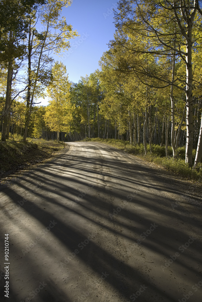 Obraz premium Autumn aspens on road near Crested Butte, Colorado