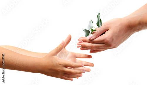 Female and child handfuls with soil and small green plant isolated on white