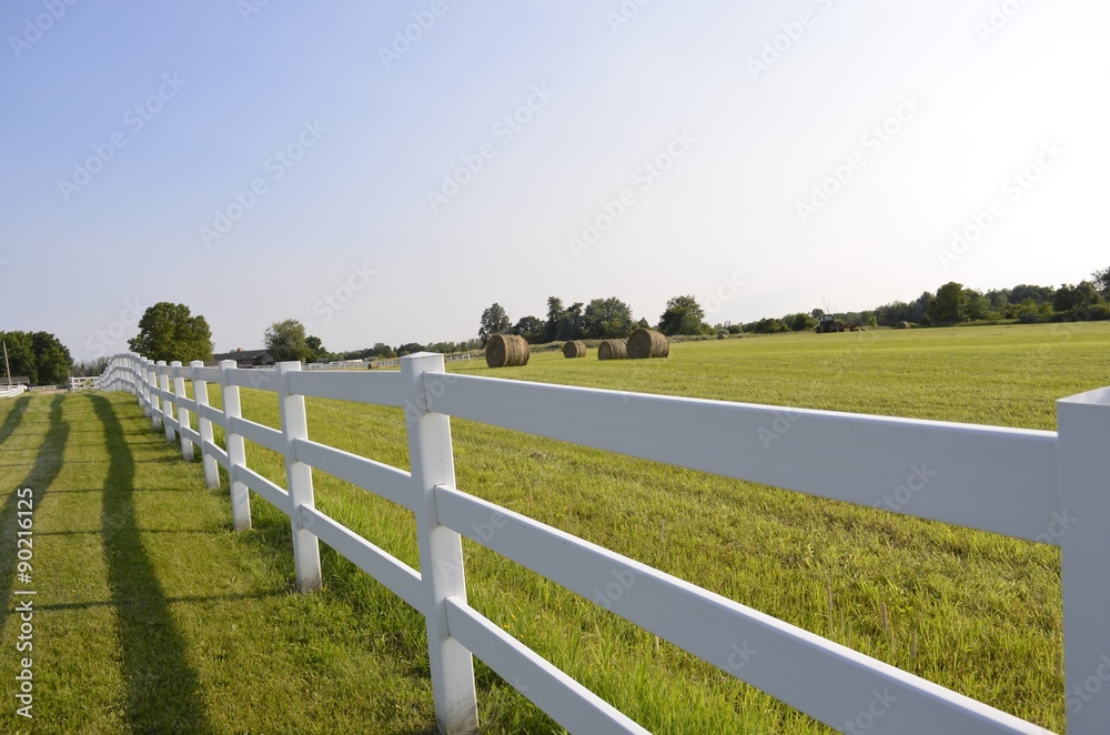 Long white fence bordering rural pastures