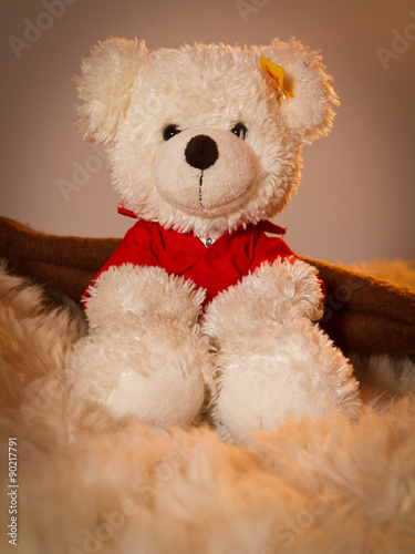 Schlafenszeit für einen Teddybären photo