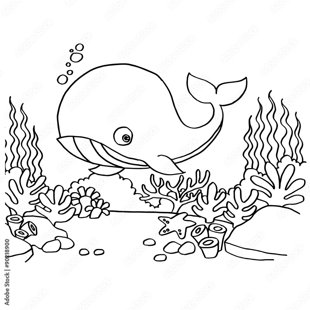 Obraz premium Whales Coloring Pages vector 