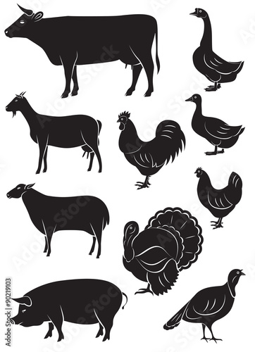 set vector icons with farm animals and birds
