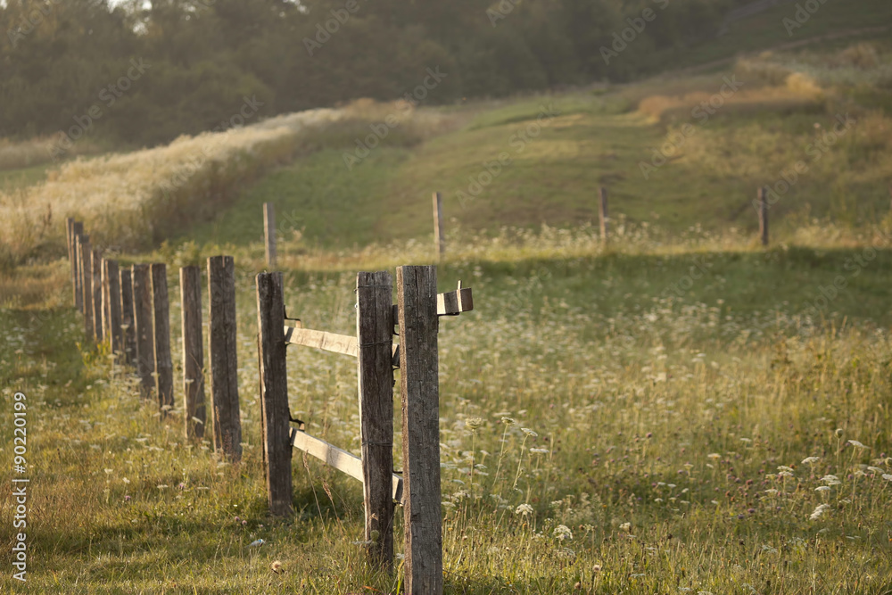 Obraz premium The bars of the fence on a meadow