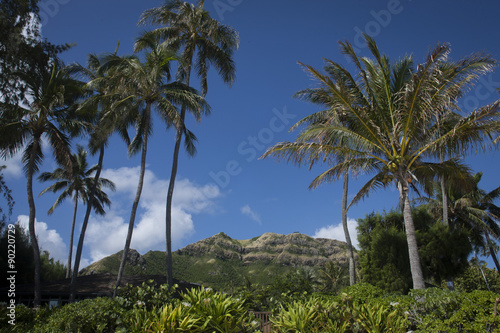 Hawaii 2 © gregnoakes