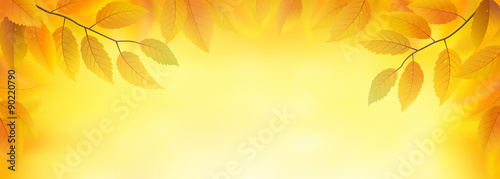 Autumn leaves frame background, vector illustration