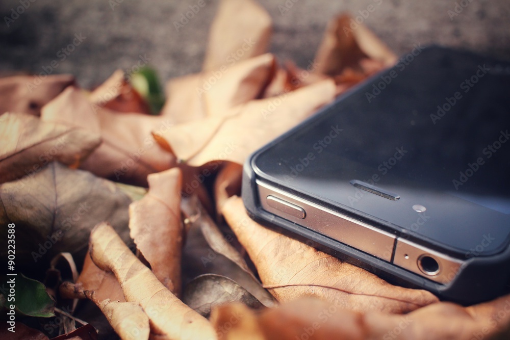 Smart phone with dried leaves
