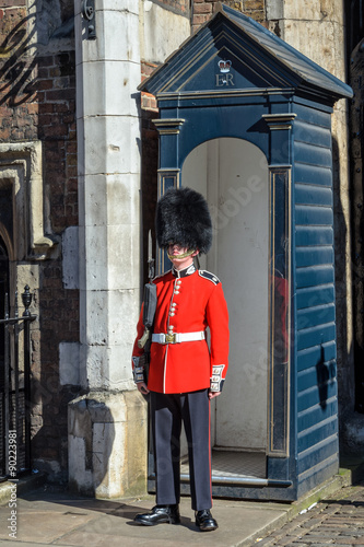 Canvas Print Guard at St. James palace in London