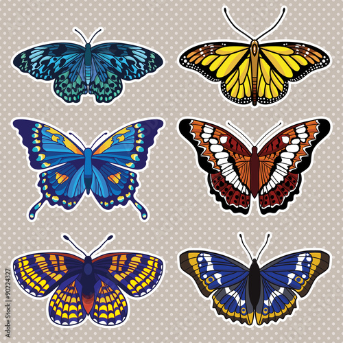 Vector set with butterflies isolated on white background