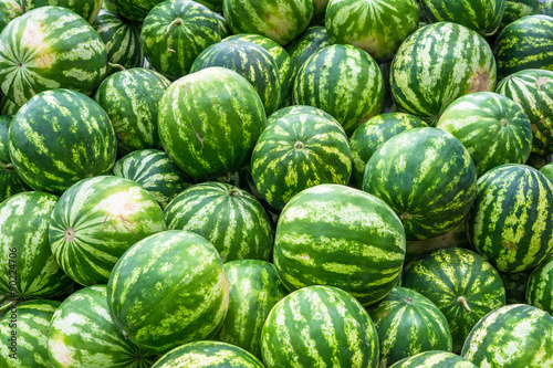 Screensaver from heap of bright green watermelons