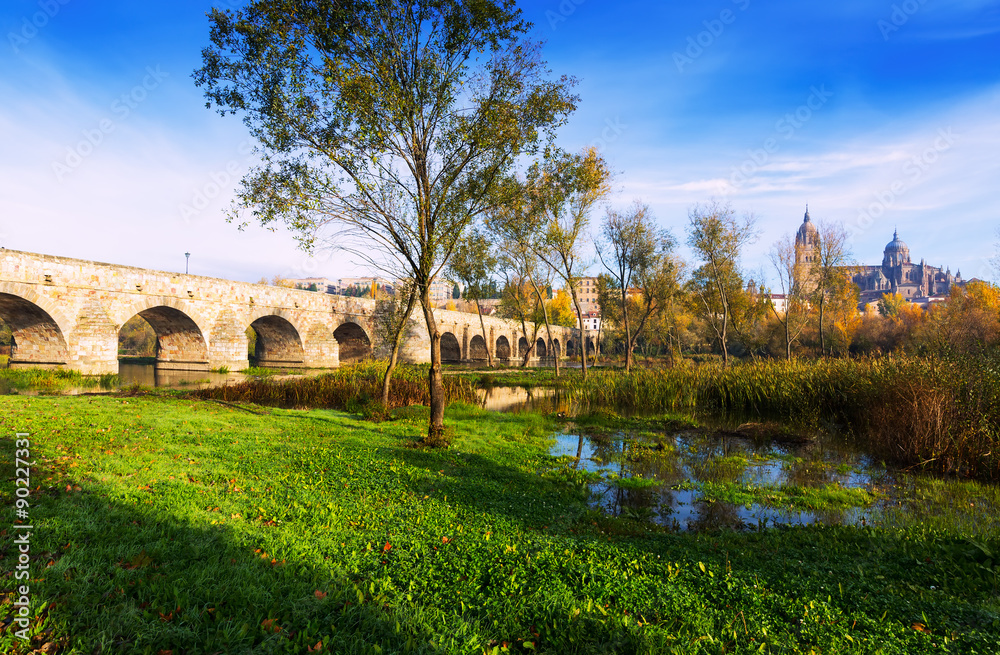 Old bridge  in Salamanca