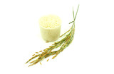 rice isolate on white background